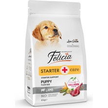 Astraltech Felicia Az Tahıllı 6 kg Yavru Kuzulu Small/mini Hypoallergenic Köpek Maması