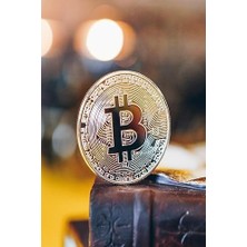 Marsilyan 5dm-Bitcoin Madeni Hatıra Parası Madeni Bitcoin Hediye Sikke Para