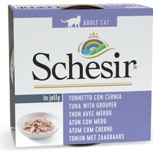 Astraltech Schesir Jelly Ton Balığı ve Orfoz Balığı Jöle Içinde Yetişkin Kedi Konservesi 85G