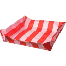 Astraltech Saksı Matı, Pembe-Kırmızı, 56X56X12 cm