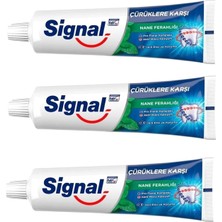 Astraltech Smartizi Signal Çürüklere Karşı Nane Ferahlığı Diş Macunu (3 Adet x 50 Gr) - Günlük Ağız Bakımı ve