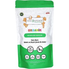 Astraltech Soul Kitchen Organik Bebek Muhallebisi B1 Vitaminli Tahıl Bazlı Ek Gıda 250GR