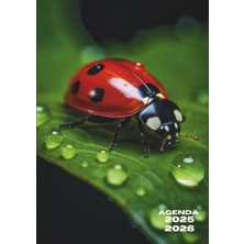 Astraltech Independently Published Agenda Scolaire: Un Jour Par Page | 12X17 cm Format Standard | 280 Pages |