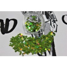 Astraltech Tırnak Süsleme Işığı Yansıtan Parıltılı Yıldız Desenli Pul Nail Art