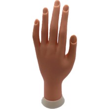 Astraltech Anil Professional Cosmetics Eğitim Eli - Profesyonel Tırnak Eğitimi ve Uygulamaları Için Mükemmel A