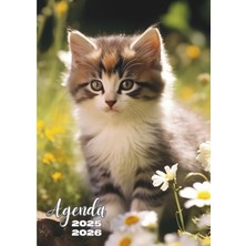 Astraltech Independently Published Agenda Scolaire: Agenda Journalier | Un Jour Par Page | 12X17 cm Format Sta