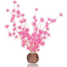Astraltech Biorb Bonsai Topu Pembe