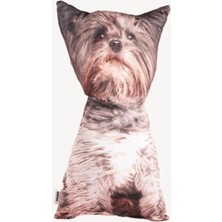 Astraltech Lepus 3 Boyutlu Köpek Yastığı No 11 40X25 cm