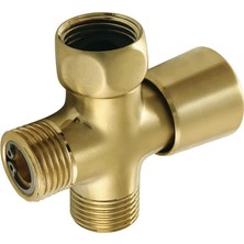 Astraltech Brass K161A7 Duş Manzarası Duş Kolu Yönlendirici, Fırçalanmış Pirinç 2,75 x 2,31 x 1,06