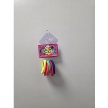 Astraltech Renkli Saç Lastikleri, Neon Renk, Esnek Elastik Bant, Kız Çocuklar Için, Çok Renkli, Paket 5li