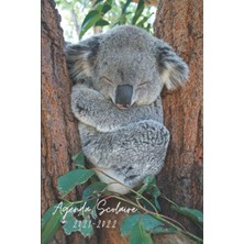 Astraltech Agenda Scolaire 2021-2022: Planificateur Koala Journalier Pour Fille Garçon | Primaire, Collège, Ly