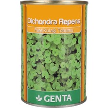 Astraltech Genta Dichondra Repens Çim Tohumu 250 gr