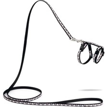 Astraltech Beeztees Yavru Kedi Göğüs Tasması ve Gezdirme Kayışı 120CM, Siyah, 16-25CM Boyun, 23-36CM Göğüs