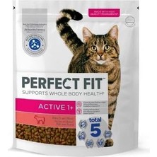 Astraltech Perfect Fit Yetişkin Sığırlı Kuru Mama 1.4 kg