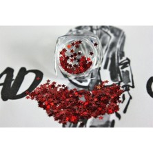 Astraltech Tırnak Süsleme Işığı Yansıtan Parıltılı Yıldız Desenli Pul Nail Art, 21