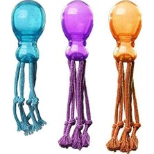 Astraltech Pawise Ahtapot Diş Ipi Köpek Oyuncağı 31 cm