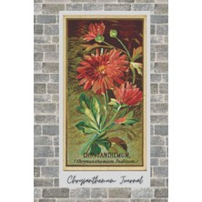 Astraltech Chrysanthemum Journal
