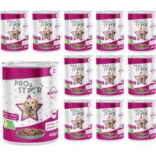 Astraltech Prostar Yetişkin Köpek Biftekli ve Jöleli Konserve Mama 400 gr x 12 Adet