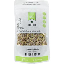 Astraltech Og Organik Karışık Sebzeli Tam Buğday Bebek Kuskus 250 gr +8 Ay
