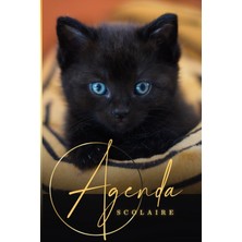 Astraltech Agenda Scolaire Chat: Organiseur Journalier | Une Page Par Jour | Collège Fille, Garçon, 6ème 5ème