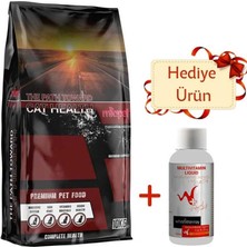 Astraltech Miapet Gourmet Renkli Balıklı Taneli Yetişkin Kedi Maması Multivitamin Liquid 100 ml Hediyeli 10 kg
