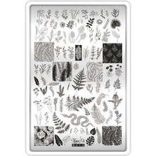 Astraltech Takida Stamping Baskı Plakası Xl Doğa 03
