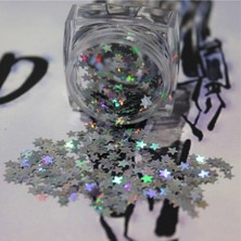 Astraltech Tırnak Süsleme Işığı Yansıtan Parıltılı Yıldız Desenli Pul Nail Art