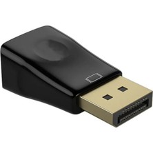 Astraltech Lunatic 5251 Displayport To VGA Çevirici Dönüştürücü Adaptör Yalnızca Displayport'tan Vga'ya Dönüşü