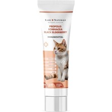 Astraltech Kahu Naturals Immunovital Malt Kedi Vitamin Takviyesi, Beta Glukan, Ekinezya, Propolis, Karamürver,