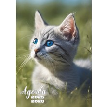 Astraltech Independently Published Agenda Scolaire: Agenda Journalier | Un Jour Par Page | 12X17 cm Format Sta