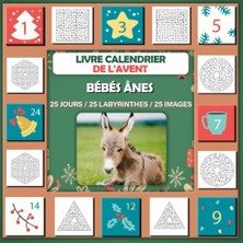 Astraltech Independently Published Livre Calendrier De L'avent Labyrinthe: Avec Des Images De Bébés Ânes, Livr