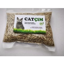 Astraltech Kedi̇ Çi̇mi̇ Tohumu Arpa Buğday Yulaf. (3lü KARIŞIM)%100 Doğal Ilaçsız, (500, Gram)