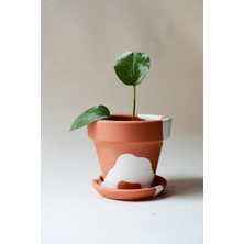 Astraltech Terracotta Konik Saksı+Tabak • Bohem Beyaz (Orta)