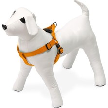 Astraltech Karlie Kilitli Göğüs Tasma, Köpek, L, 60-90 Cm, Turuncu