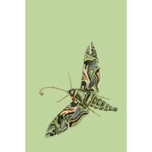 Astraltech Green Moth Journal