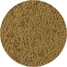 Astraltech Tetra Pleco Veggie Wafers Çöpçü Vatoz Yemi 100GR Kovadan Bölme