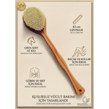 Astraltech Saplı At Kılı Fırça - Vücut Fırçası - Selülit Fırçası 43 cm