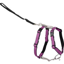 Astraltech Petsafe 3'ü 1 Arada Köpek Koşum Takımı, Çekmez, Araba Kemeri Için Köpek Koşum Takımı, Köpek Koşum T