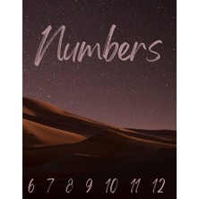 Astraltech Numbers Scripture Writing Bible Journal