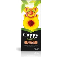 Hobibahçem Şeftali Meyve Suyu 200 Ml.