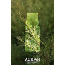 Auran Çay Ağacı Esansiyel Uçucu Koku Yağı Ortam Kokusu Doğal Yağ Sihirli Küre Hobi Esansı 10ML
