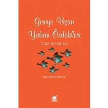 Ayrıntı Yayınları Geriye Uçan Yaban Ördekleri