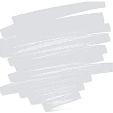 Pilot Pintor B, Gümüş