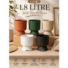 Hep İndirimli 5 Adet Lotus Saksı Seti 1.8 Litre Ayaklı Saksı - 19.5 cm x 14 cm Çiçek ve Bitki Saksısı(Deliksiz Saksı ve Vazo)
