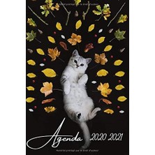Meks Agenda 2020 2021: Agenda 2020 2021 Scolaire Chat | Agenda Scolaire 2020 2021 Chat| Agenda 2020 2021