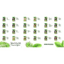 Amonyaksız, Vegan, Doğal, Besleyici Kalıcı Saç BOYASI%100 Beyaz Kapama (1 Paket 2 x 50 ml Boya & Oksidan) (Platin Sarısı 0.1)