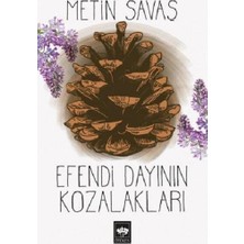 Ötüken Neşriyat Efendi Dayının Kozalakları