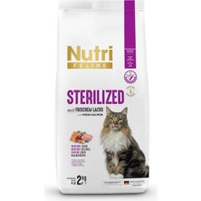 Meks Nutri Feline Kısırlaştırılmış Somonlu Yetişkin 2 kg