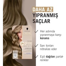 Creme Supreme Saç Boyası 8-16 Küllü Soğuk Koyu Sarı