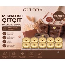 Gulora Mıknatıslı Çıtçıt Dikilebilir Gold (10 Adet)
